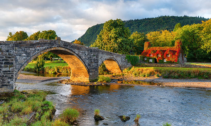 Click4Assistance Breaks Through the Welsh Border for Councils