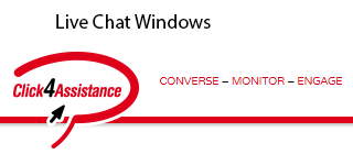 Live Chat Window