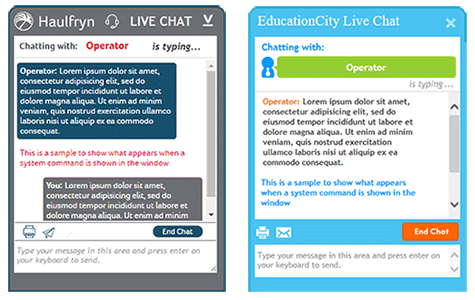 Best Live Chat Customer Embedded Window